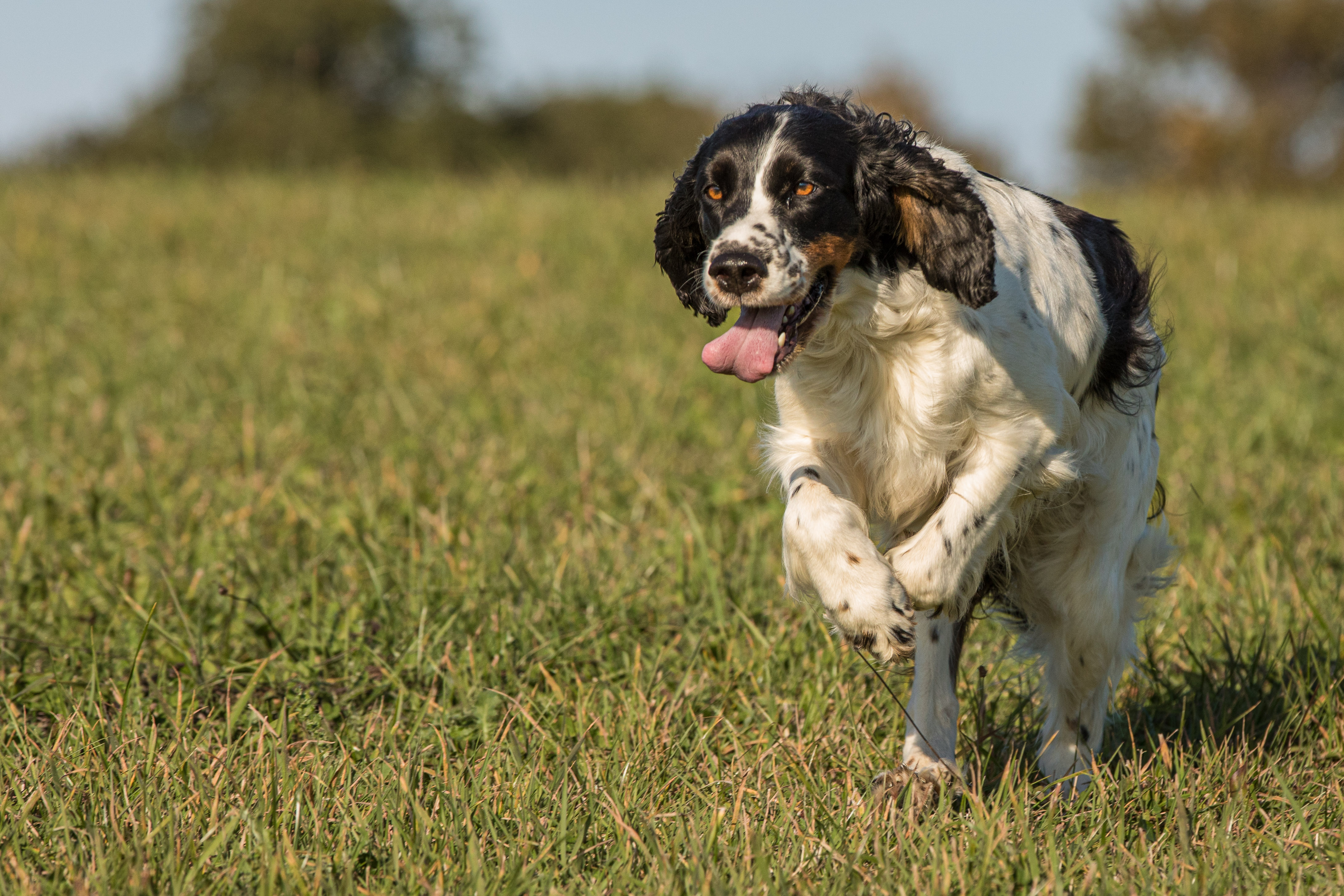 ilea standbild_med_hr