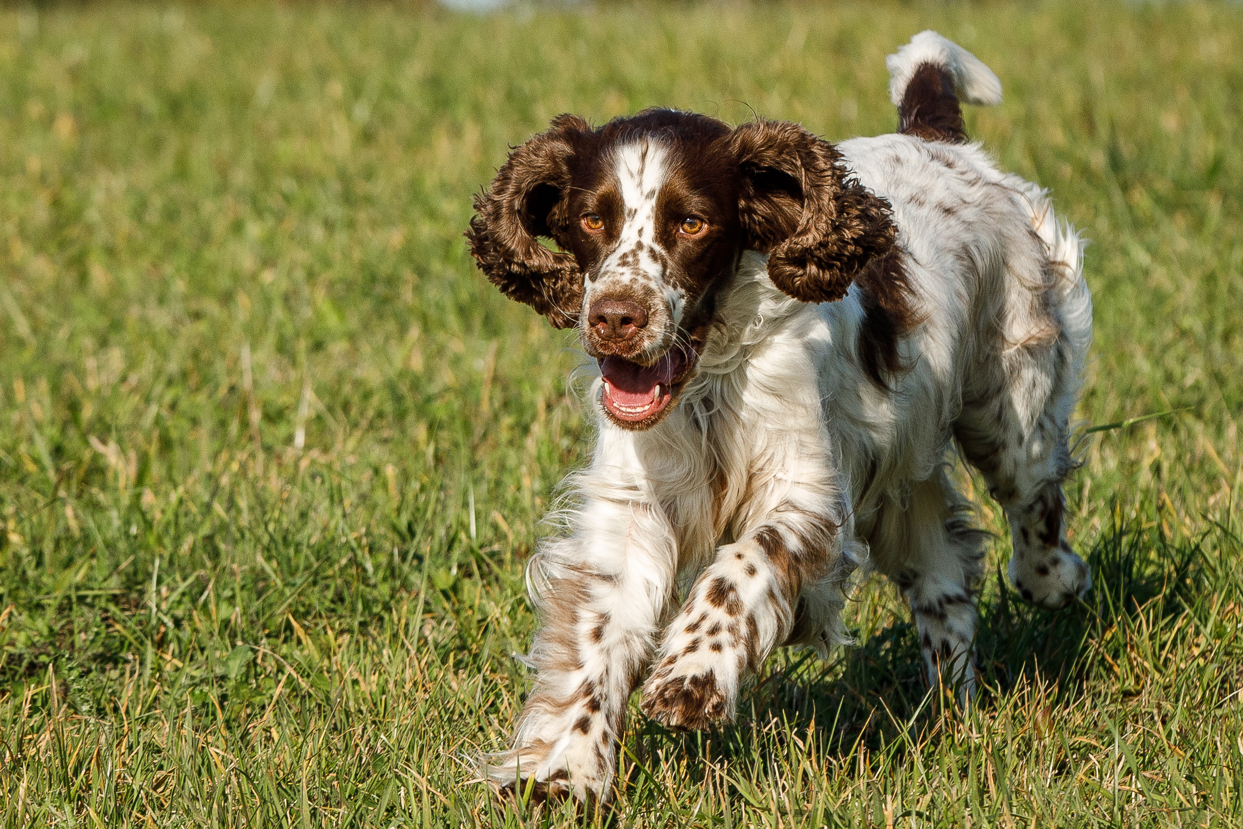 ilea standbild_med_hr