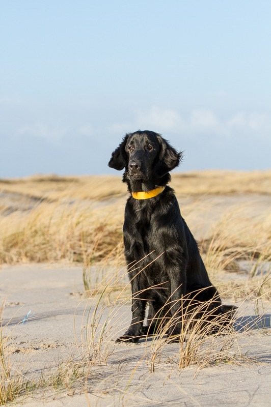 sylt 2013 4327_med_hr.jpeg